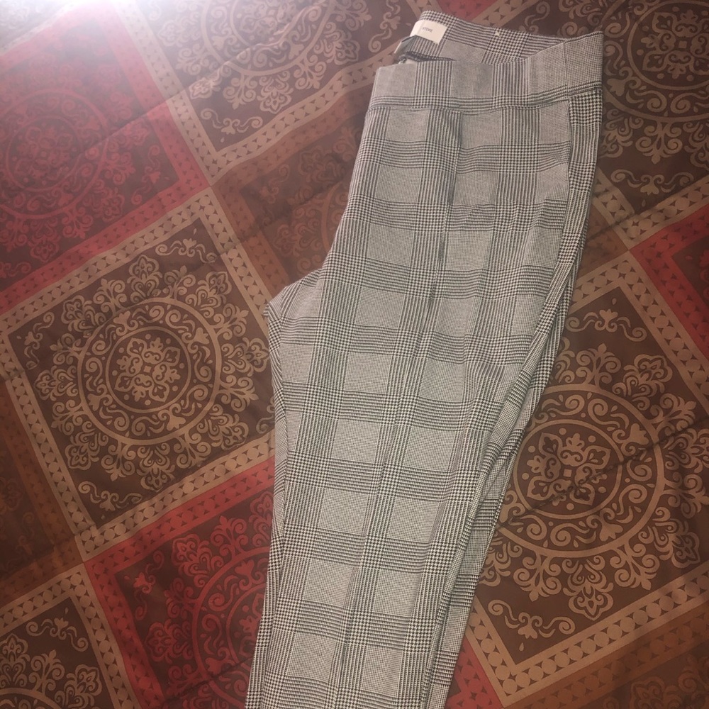 Pant